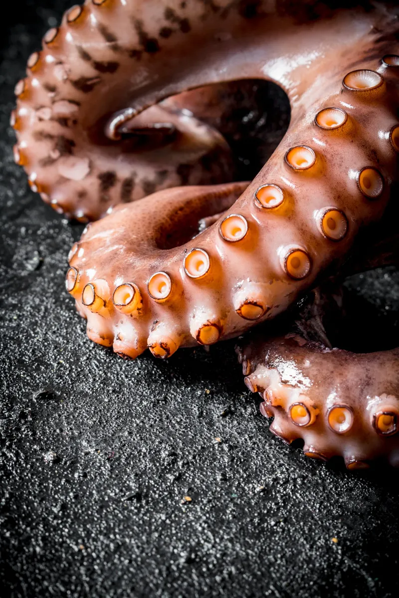 Poulpe frais de Méditerranée