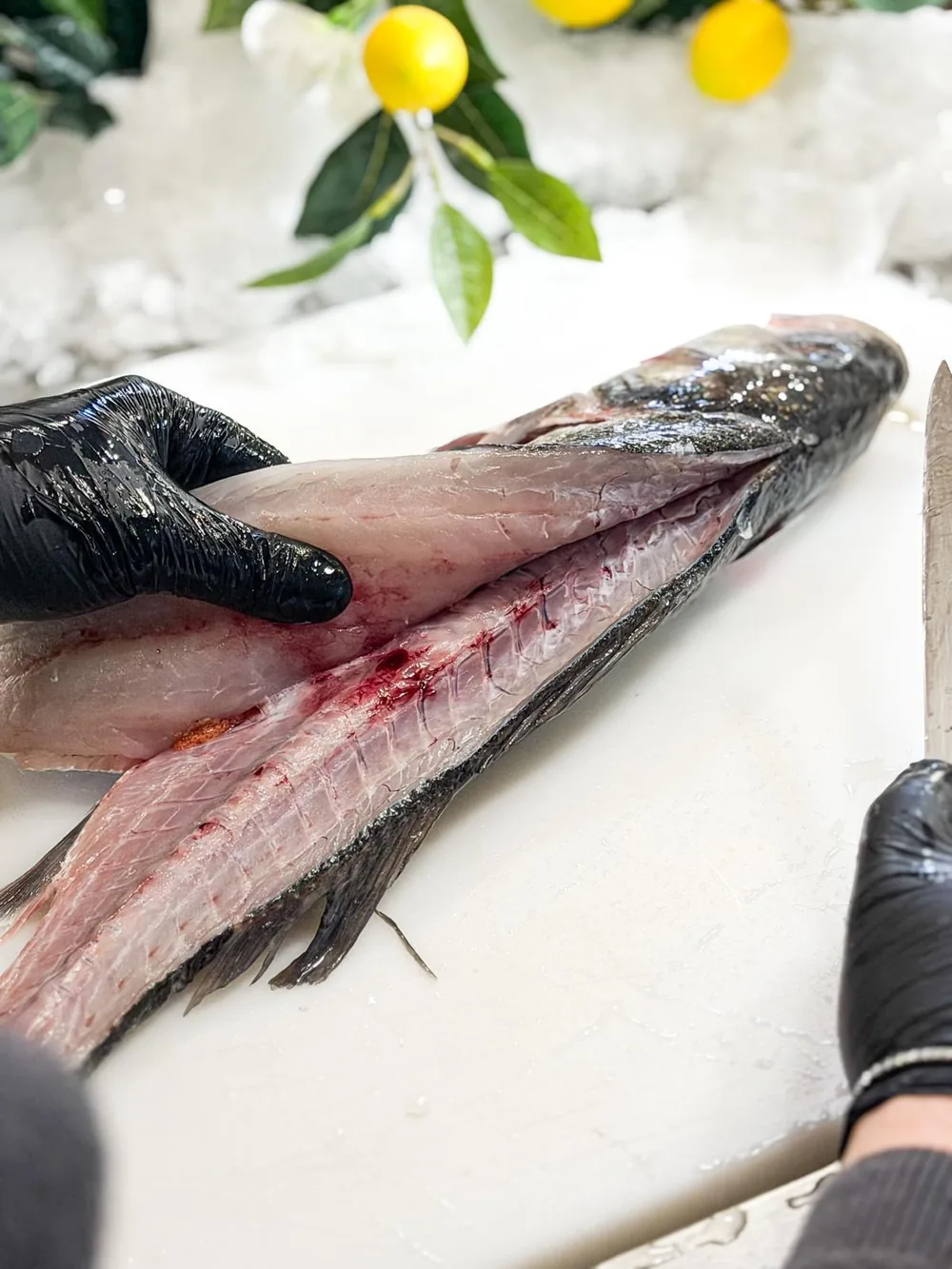 Filetage d'un bar de ligne au couteau à La Pescheria