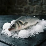 BAR SAUVAGE (LOUP DE MER) 2/3