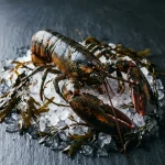 HOMARD BRETAGNE 400/600