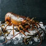 LANGOUSTE 800/1200