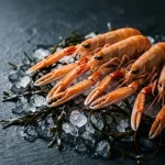 LANGOUSTINE VIVANTE 200/500